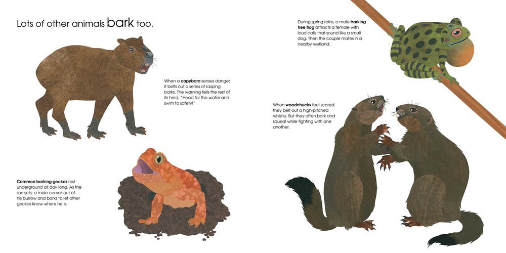 Nonfiction Picture Book Challenge: Can An Aardvark Bark? — Kid Lit Frenzy Nonfiction Picture Book Challenge: Can An Aardvark Bark? — Kid Lit Frenzy
