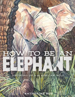 howelephant.jpg