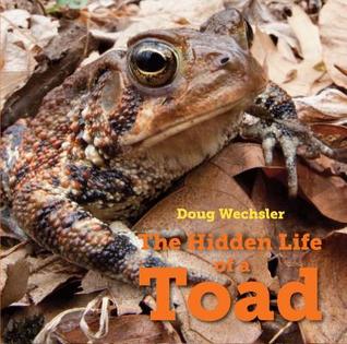 hiddenlifetoad.jpg