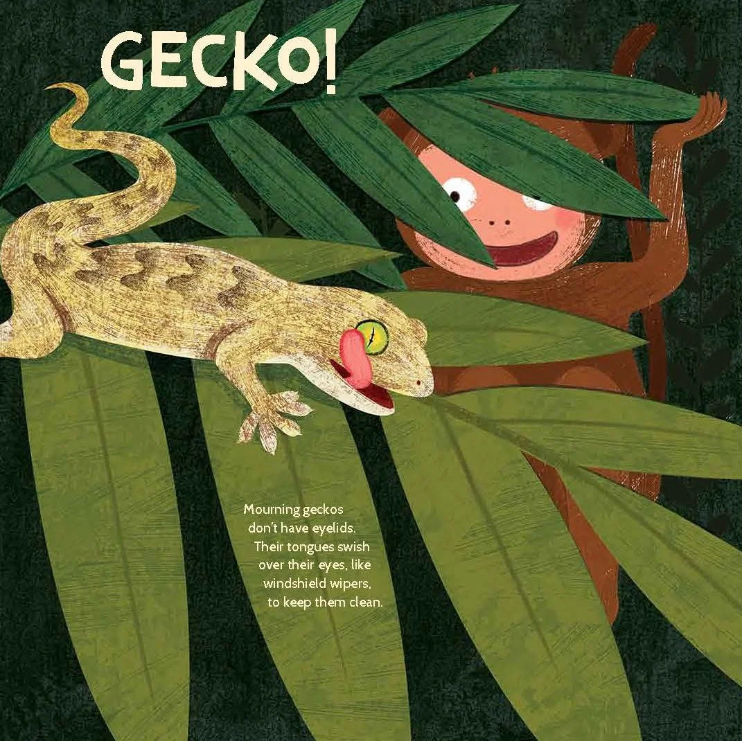 photo1-gecko.jpg