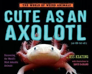 axolotl.jpg