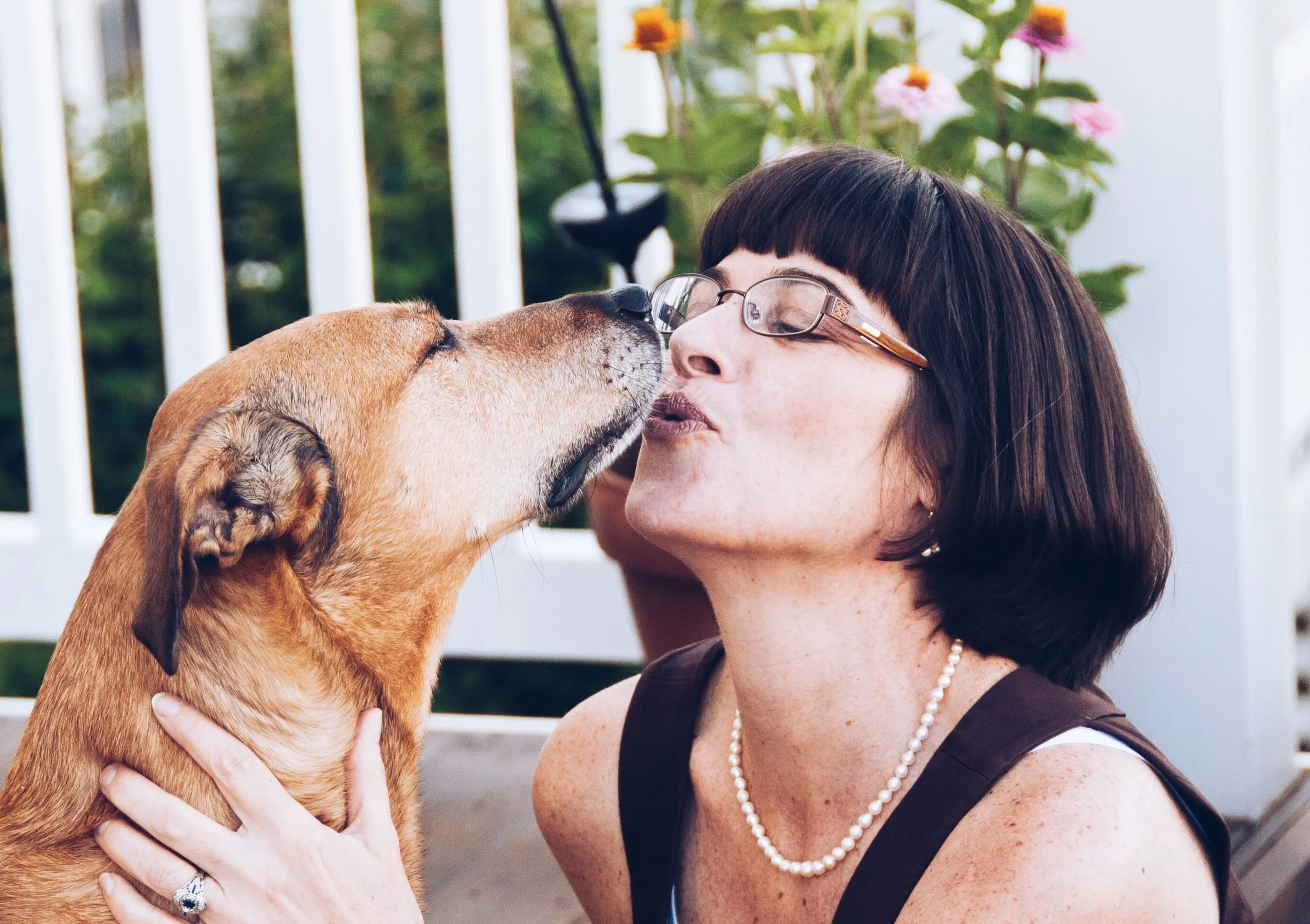 Celebrating OPERATION RESCUE DOG - Guest Post & Giveaway — Kid Lit Frenzy
