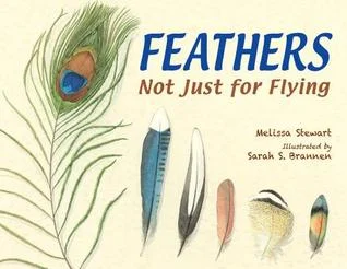 featherscover.jpg