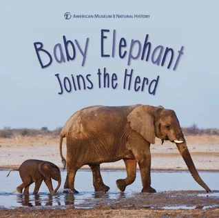 babyelephant.jpg