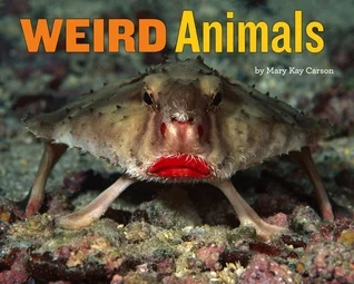 weirdanimals.jpg