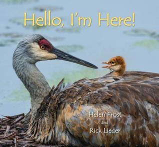 hellohere.jpg