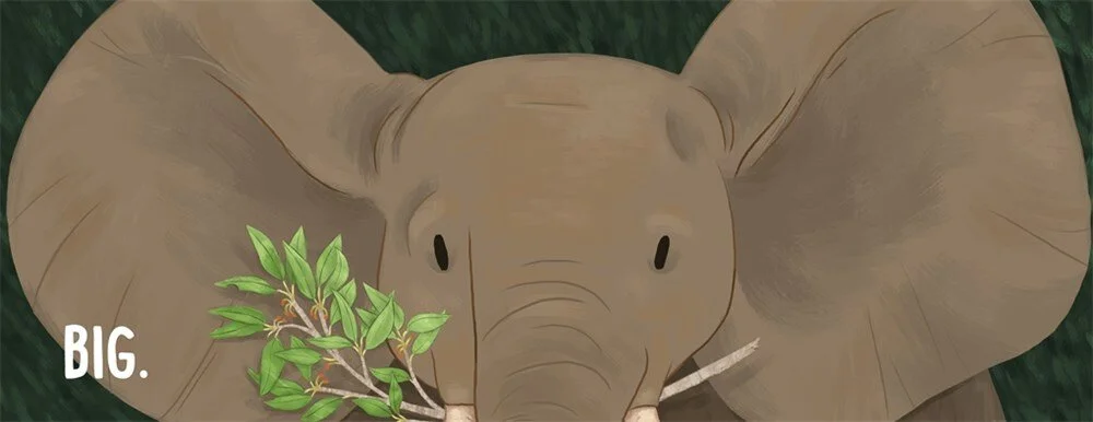 elephant1a.jpg