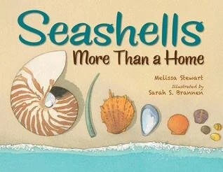 seashells.jpg
