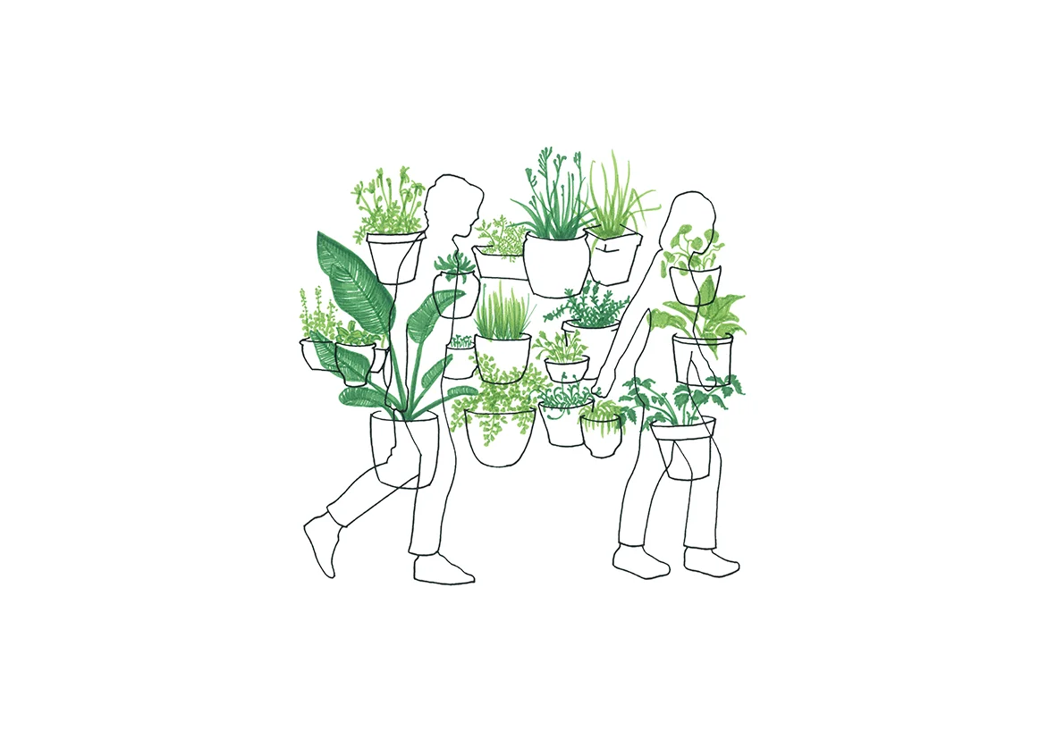 Instructions for ‘Mobility Gardening’ 1. 2015