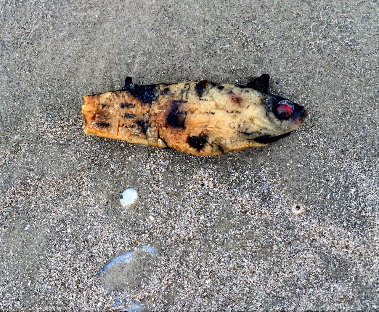 Zombie Fish