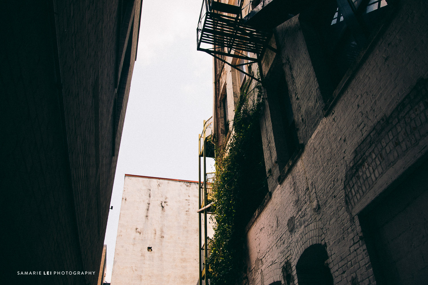 Houston-street-photography-documentary-downtown-32.jpg