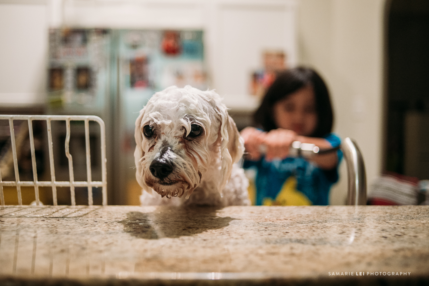 Houston-family-photography-May-5on5-4.jpg