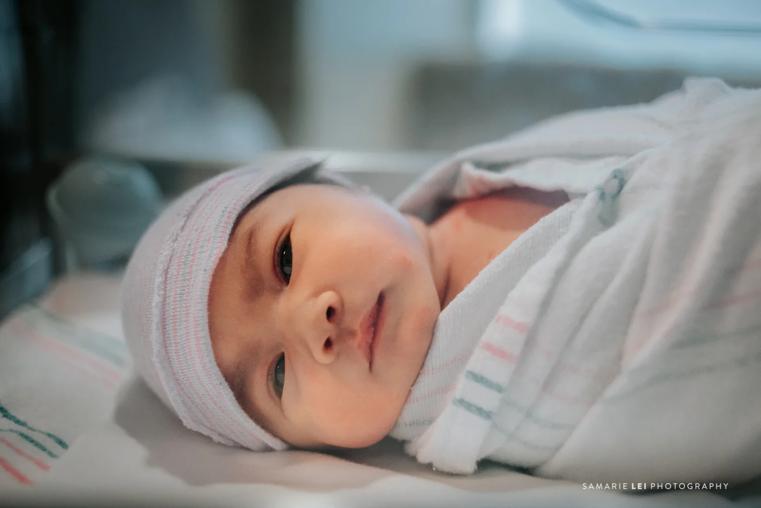 houston-family-photography-texas-fresh-48-6.jpg