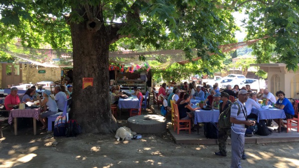 Turist akını sonrası, kuşların sessizliği!