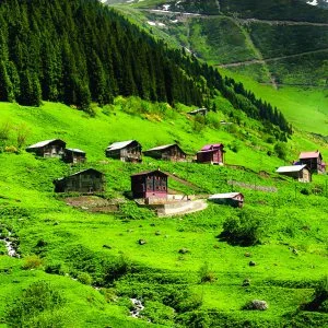 Tale-Artvin-Blog-Evler.jpg