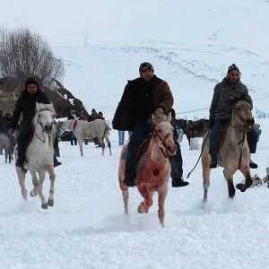 Savsat Şenlikler