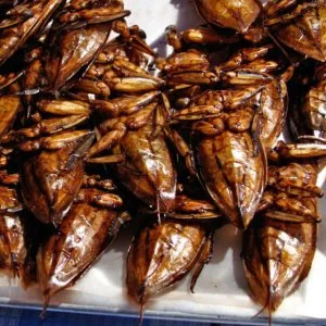 Çekirge Kavurması