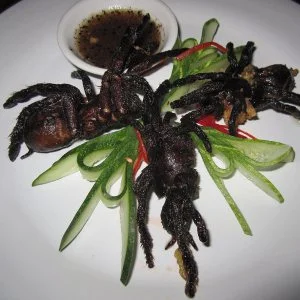 Kızarmış Tarantula