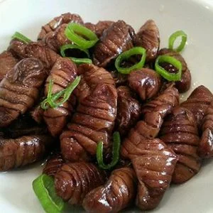 İpek böceği