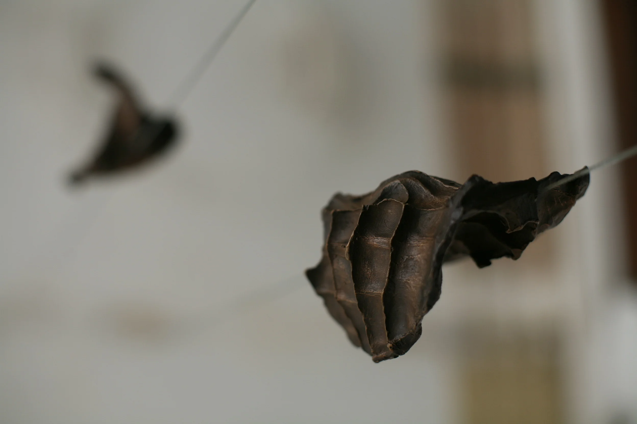 Vue d’ensemble de l’expo KEEPIN(G)TOUCH by Etienne de Fleurieu.