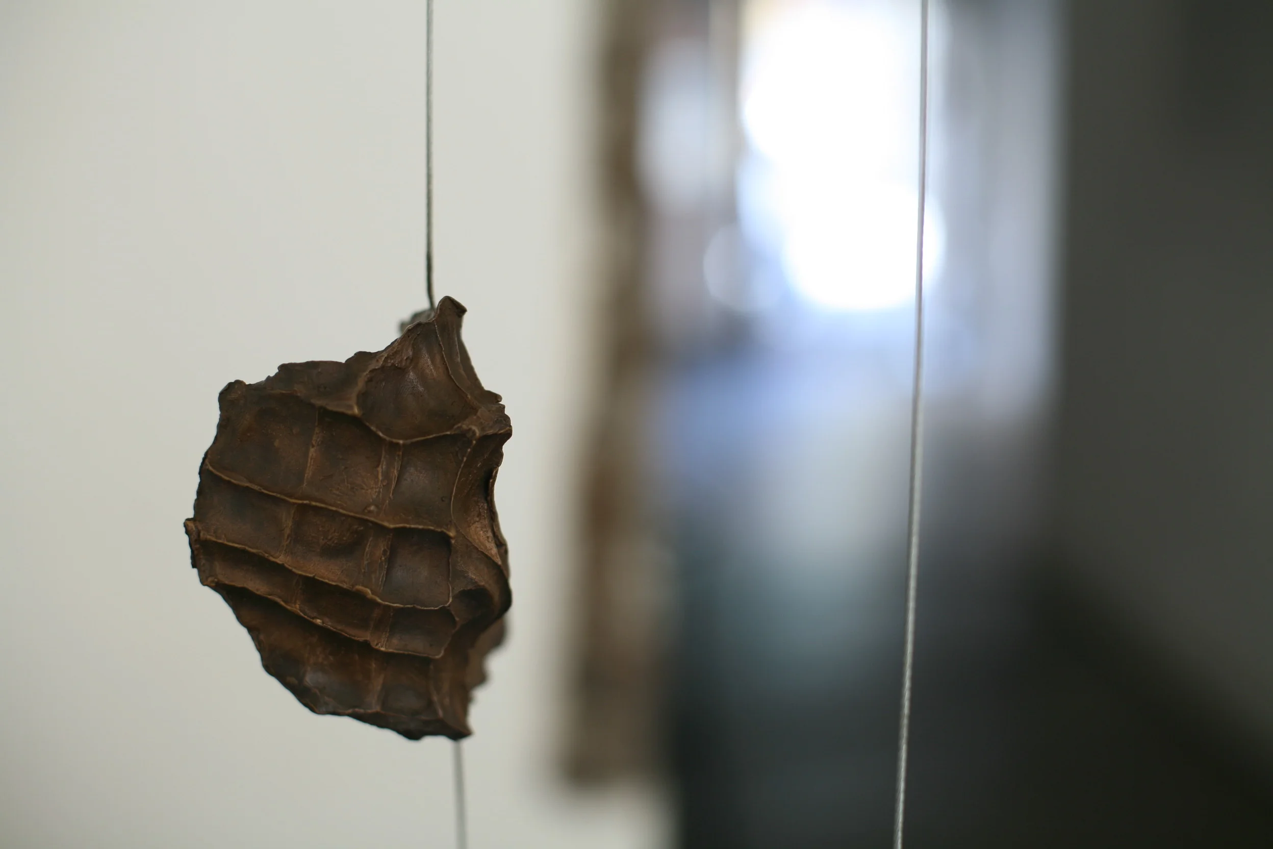 Vue d’ensemble de l’expo KEEPIN(G)TOUCH by Etienne de Fleurieu.