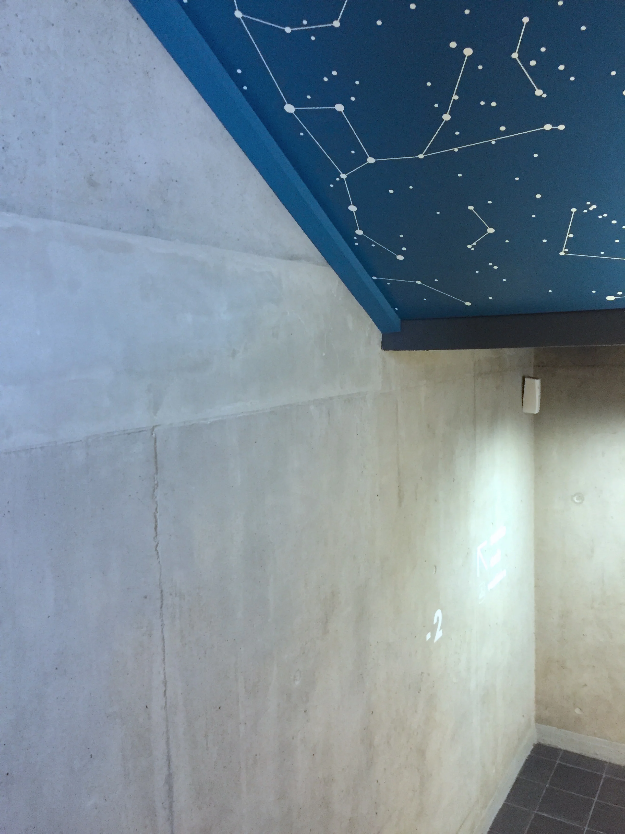 Nocturne Silencieuse by Etienne de Fleurieu, peinture sur plafond