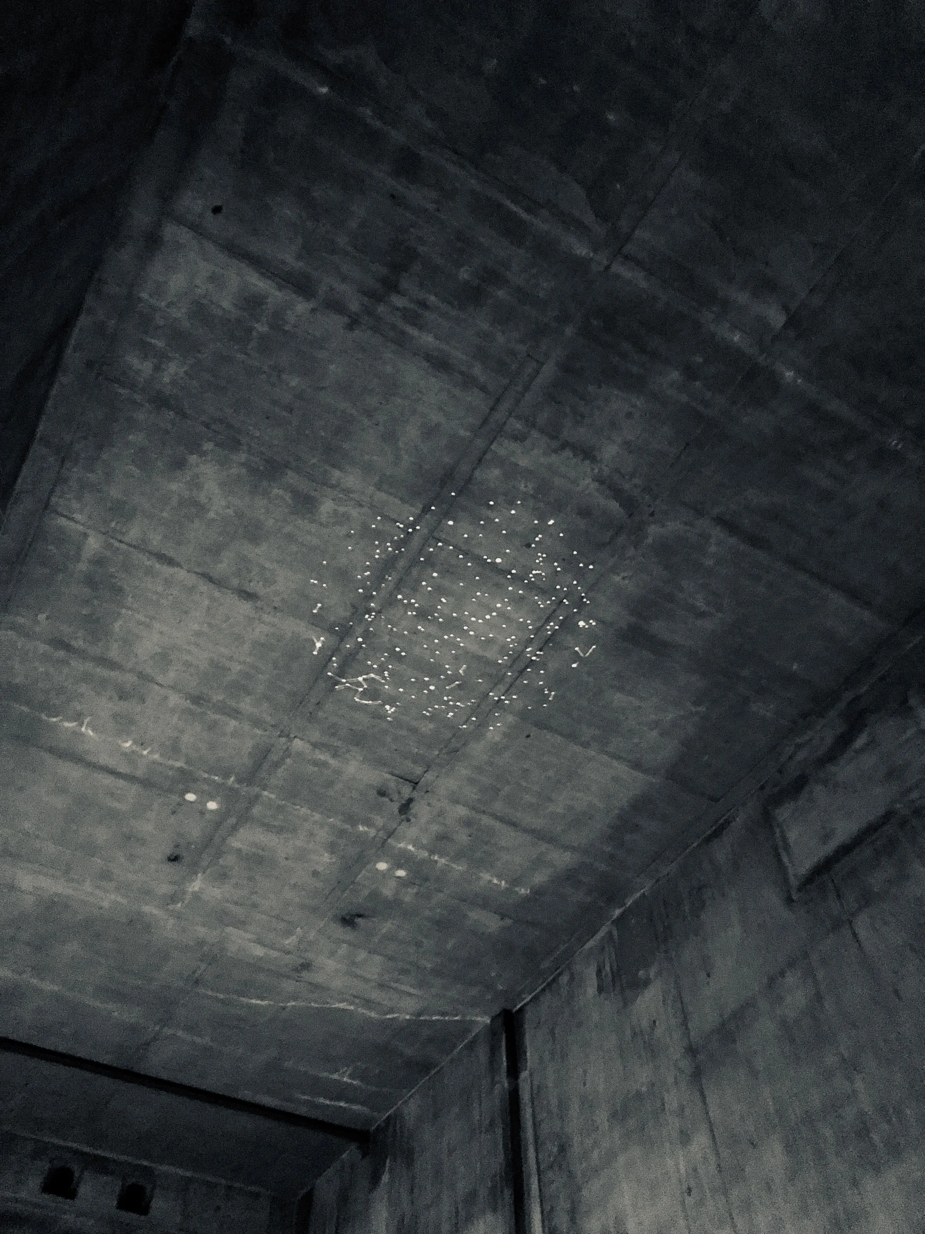 etiennedefleurieu-blackout-2.jpeg