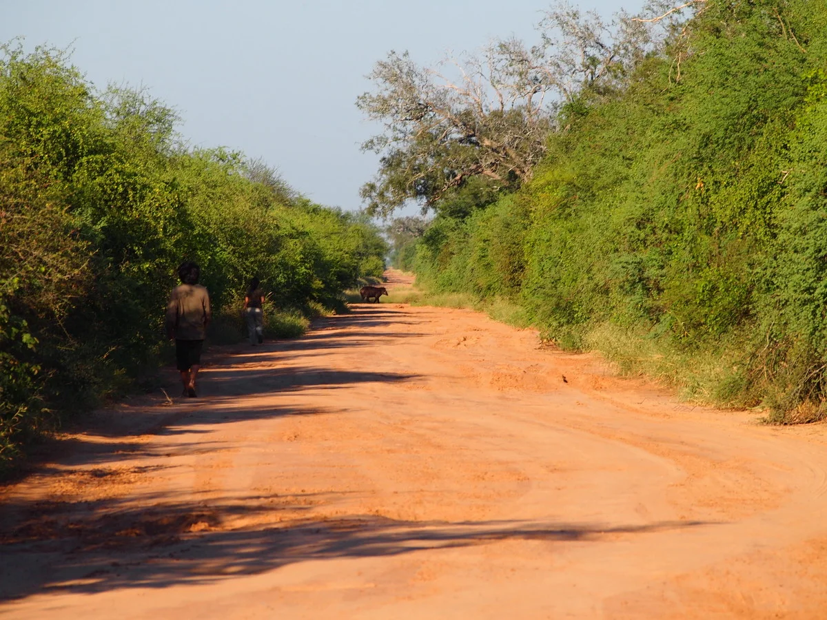 Unsere Guides Rodrigo und Joanna auf den Spuren eines Tapirs (im Hintergrund)