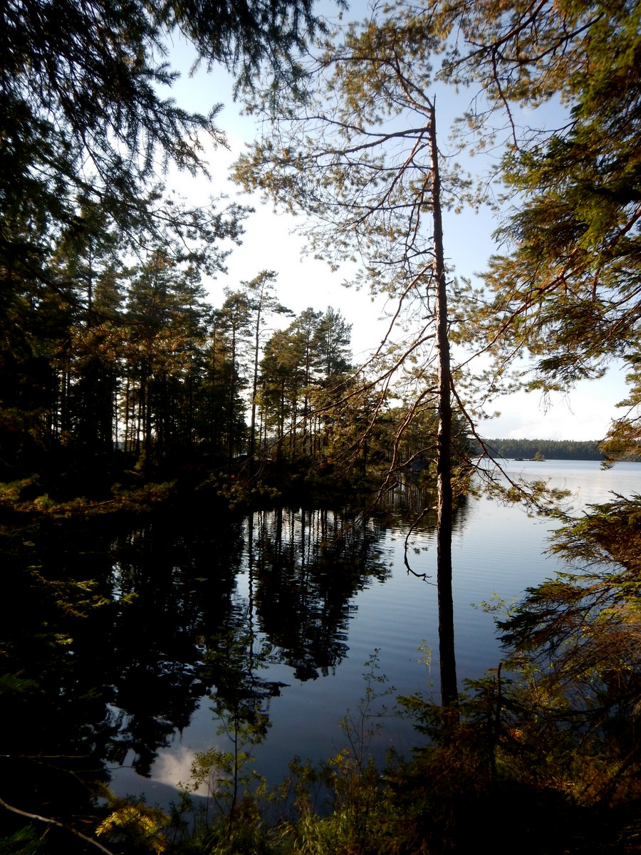 Tiveden Nationalpark