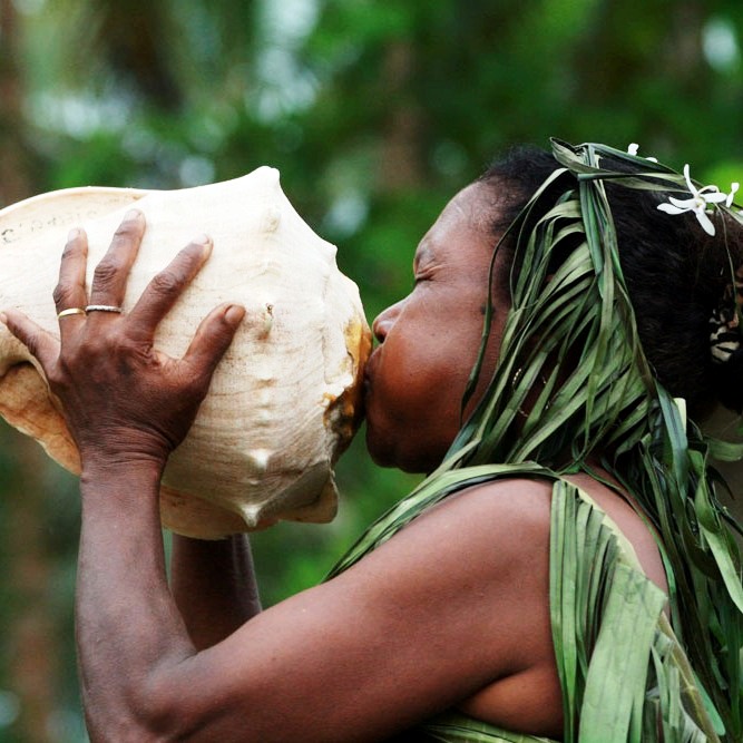 Conch-Shell-horn2.jpg