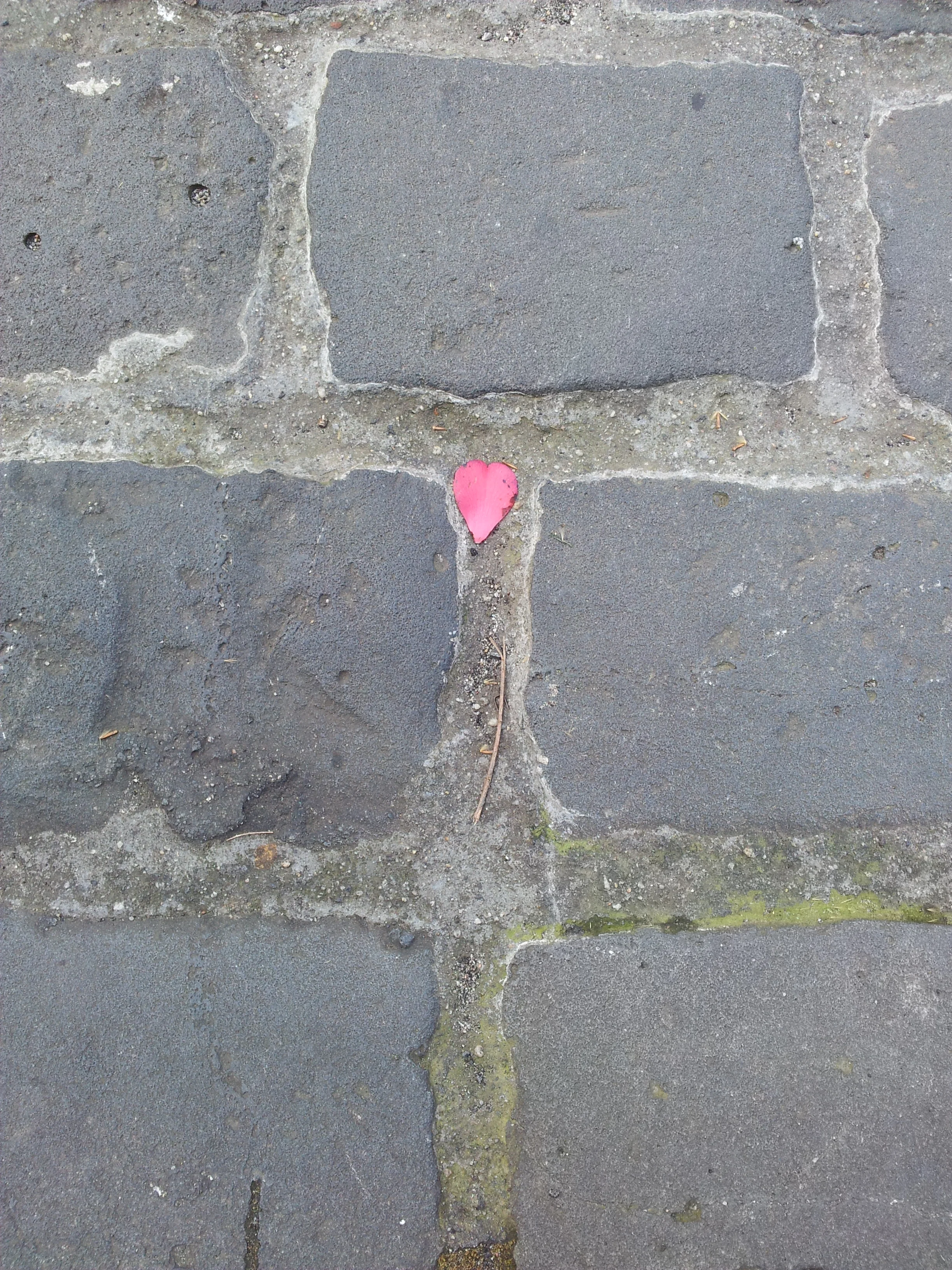 2012-09-07 10.36.03.jpg