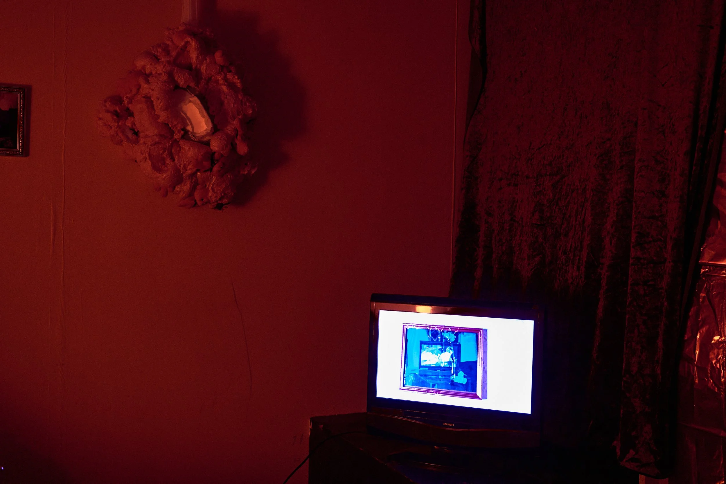 DSC02475.jpg