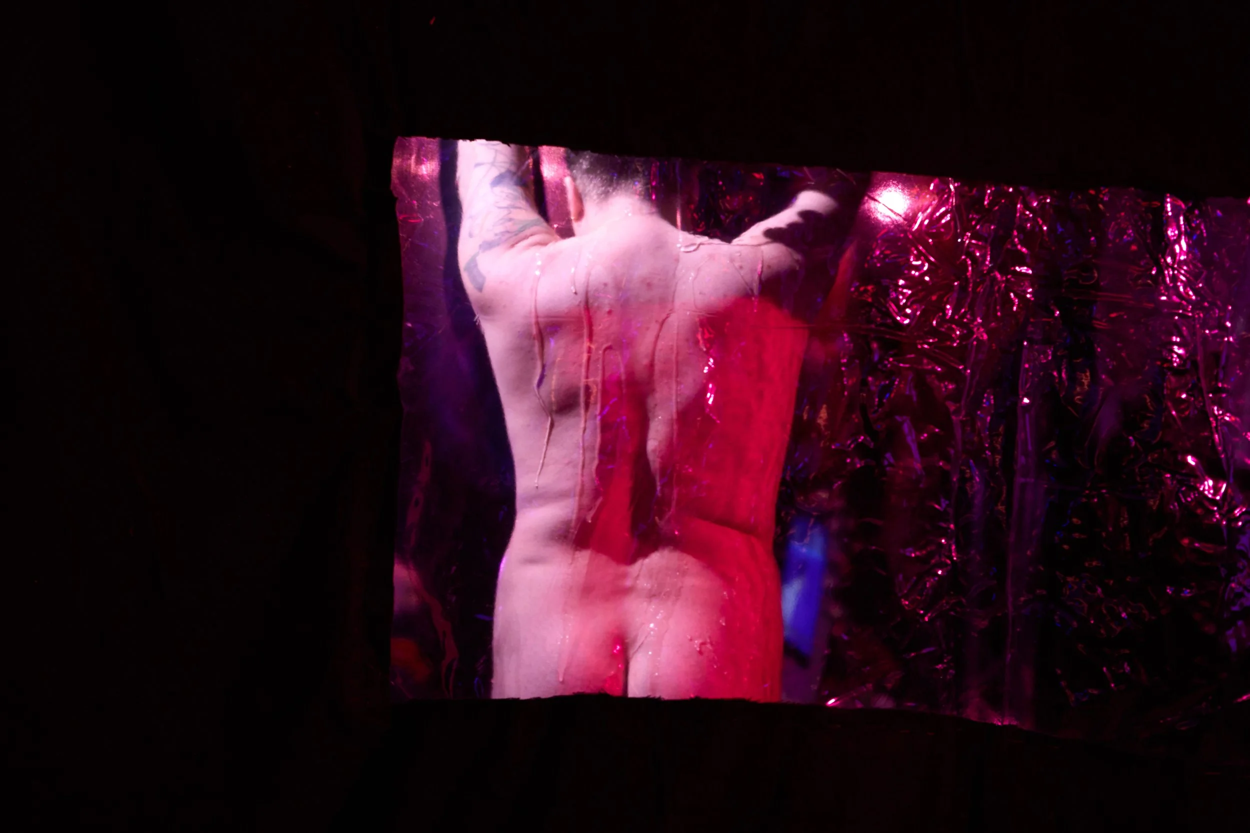 DSC02388.jpg