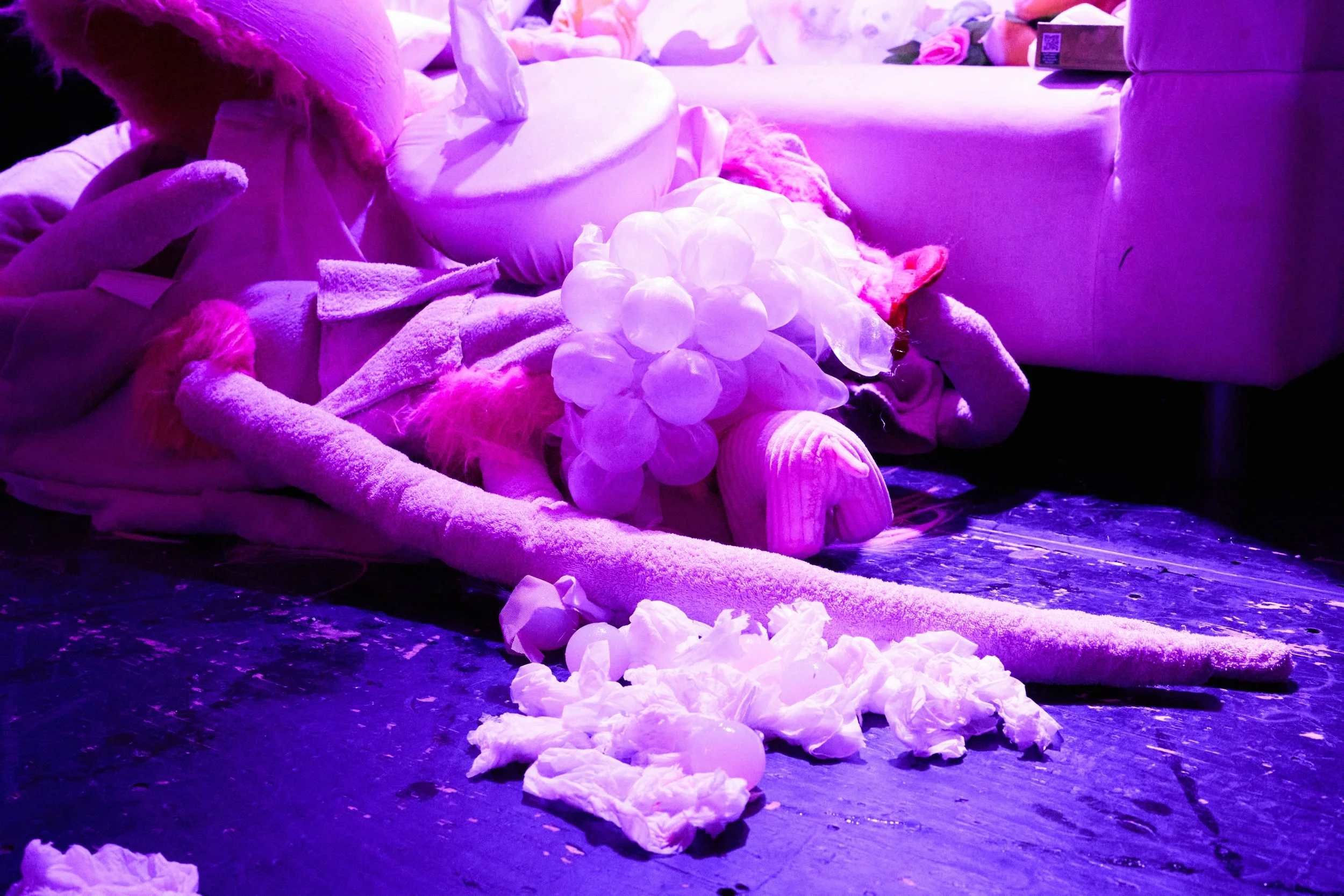 DSC02567.jpg