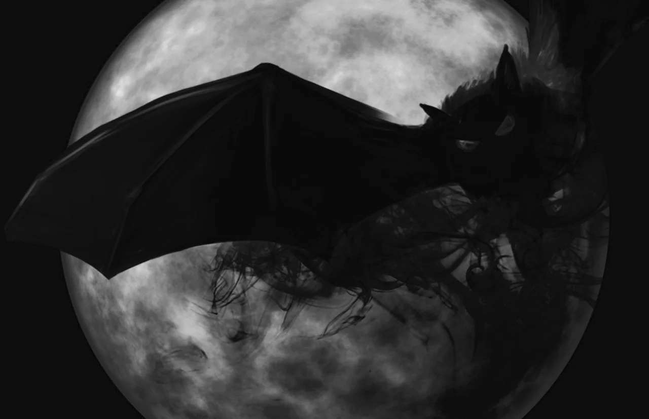bat-995210_1920.jpg