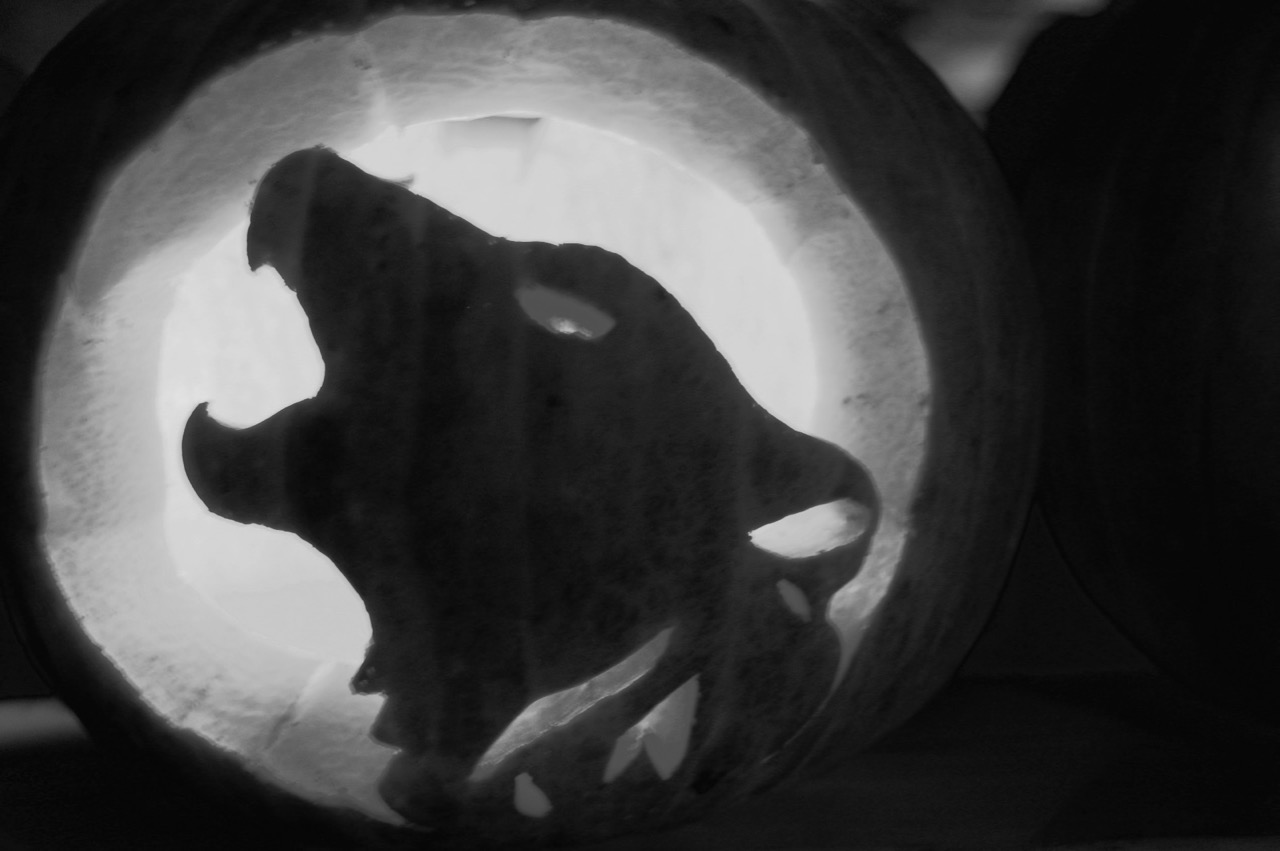jack-o-lanterns-1326113-1598x1062 (1).jpg