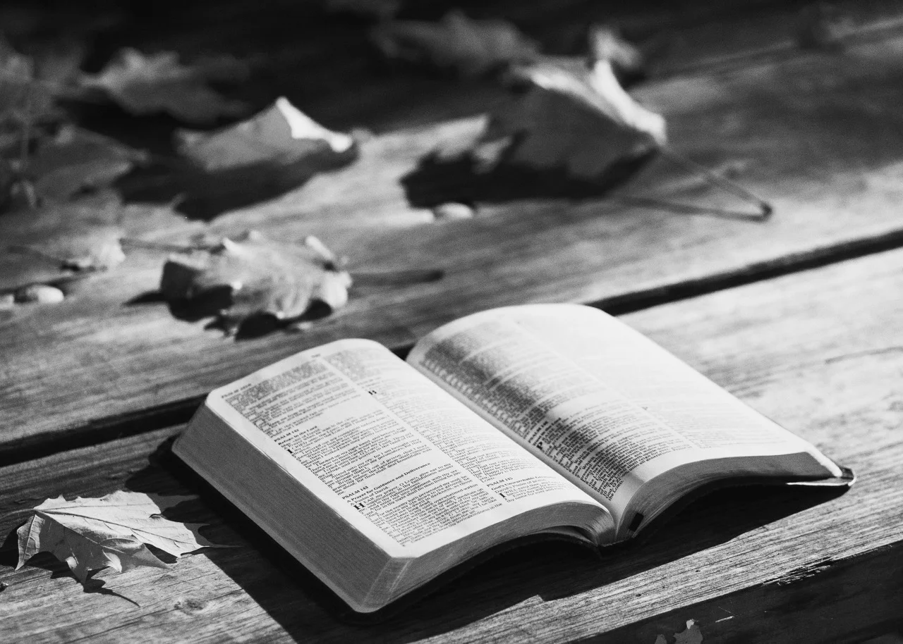 bible-1868070_1920.jpg