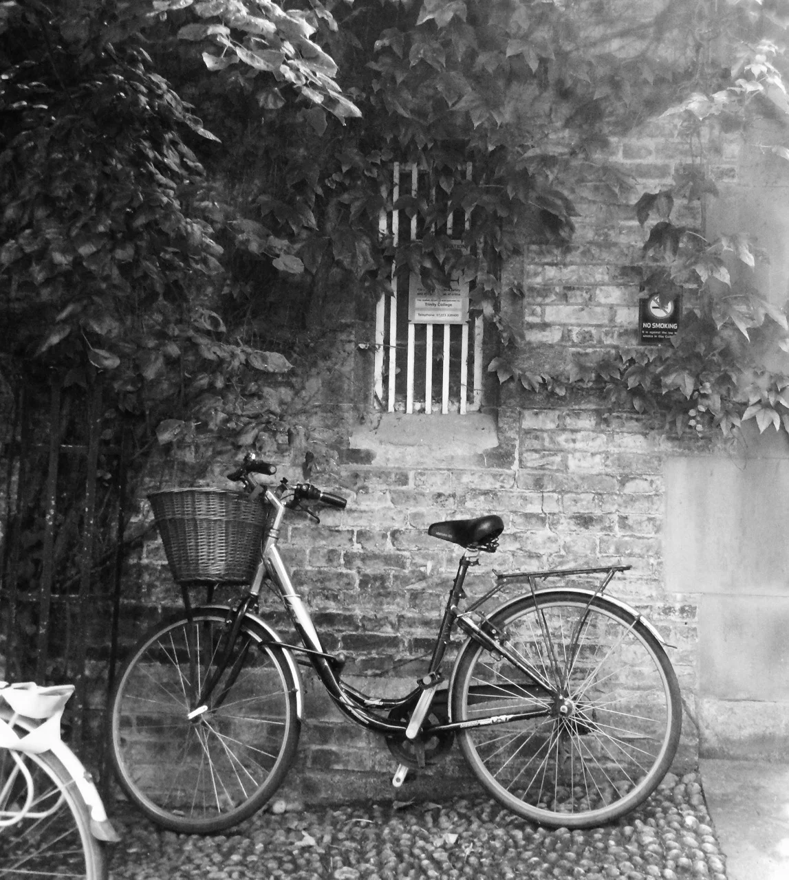 cambridge-116005_1920.jpg