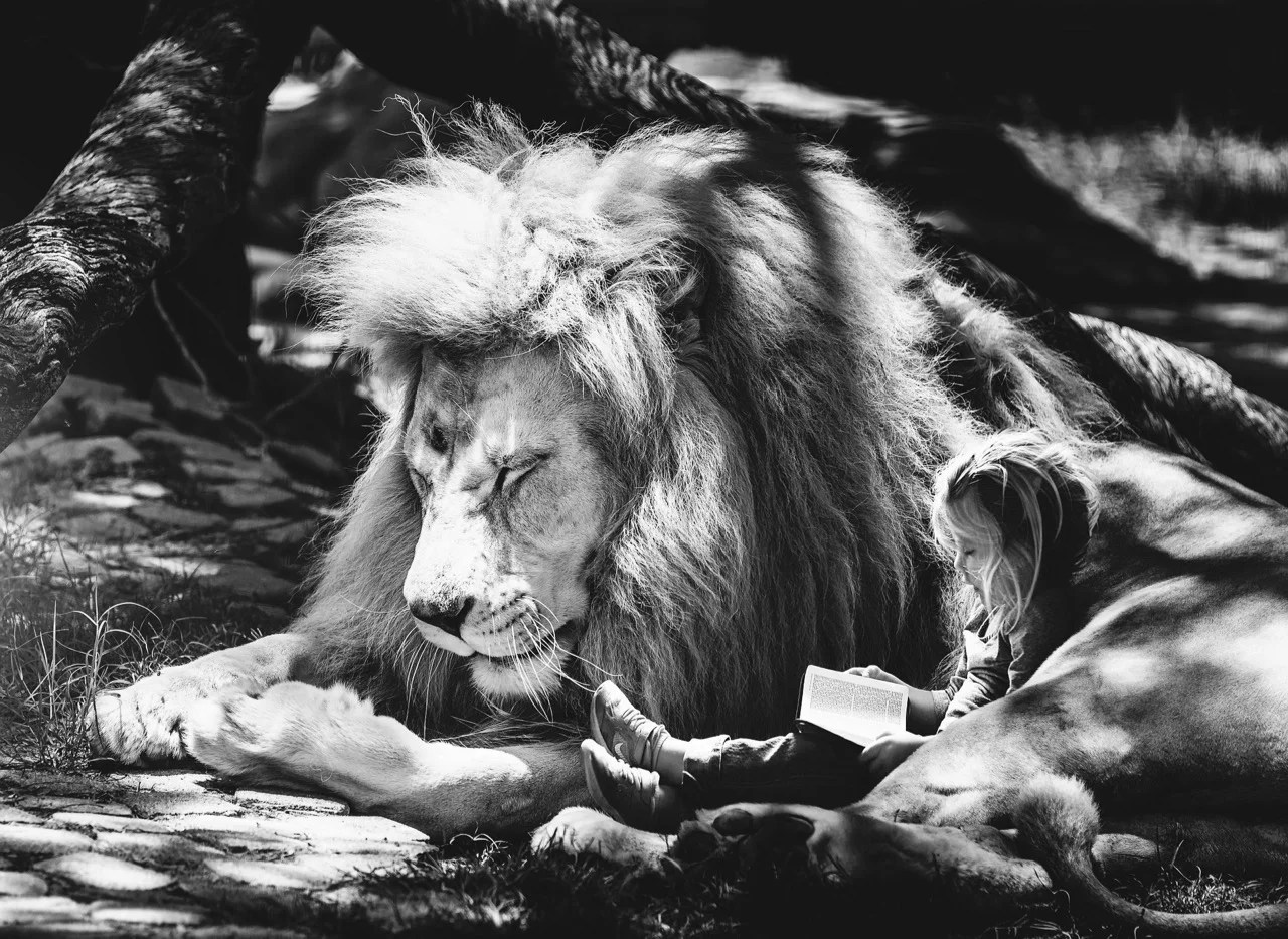 mammal-3128440_1920.jpg