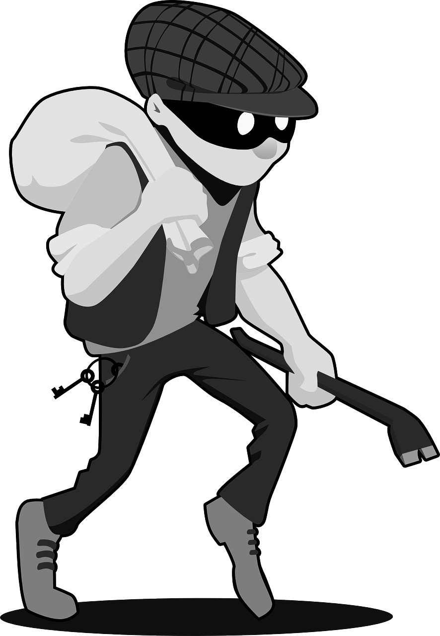 burglar-157142_1280.jpg
