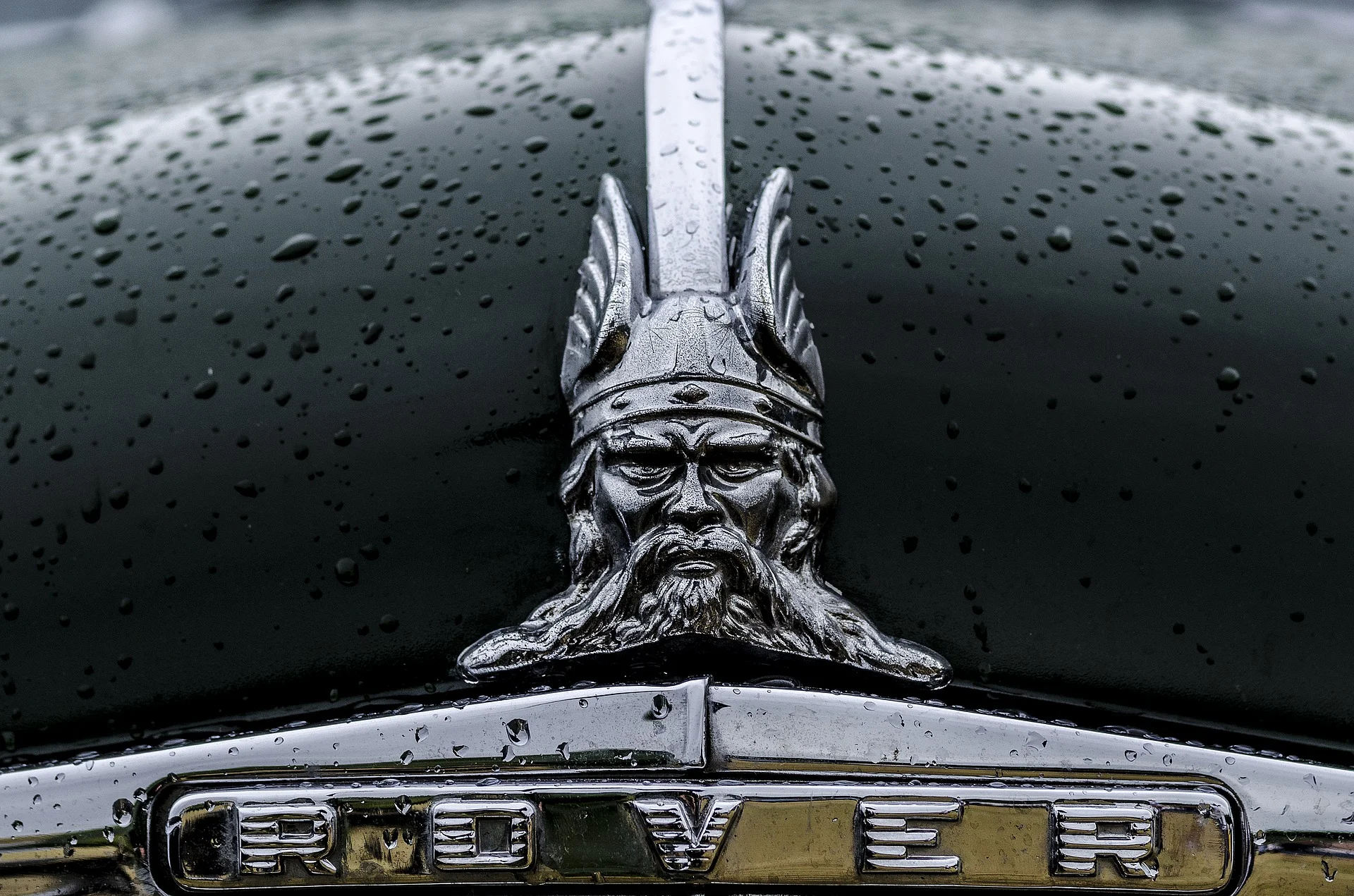 rover-1907463_1920.jpg