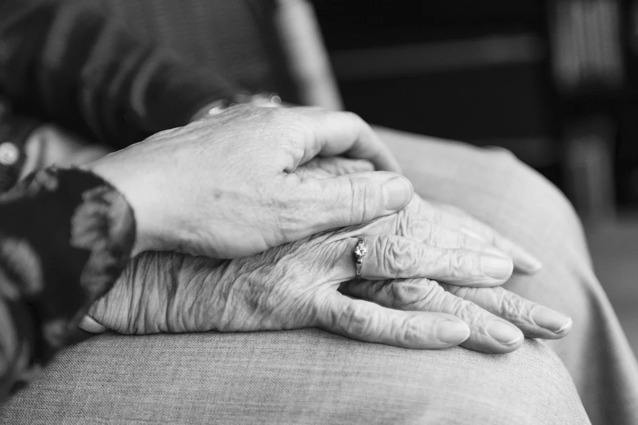 hand-2906458_1920.jpg