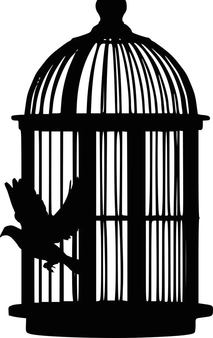 bird-3879179_1280.jpg