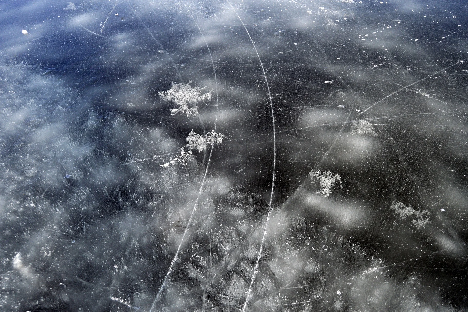 nature-3114608_1920.jpg