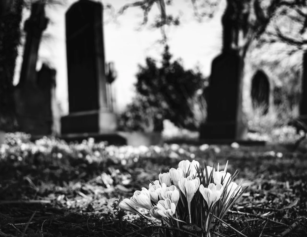 graveyard-1417871_1920.jpg