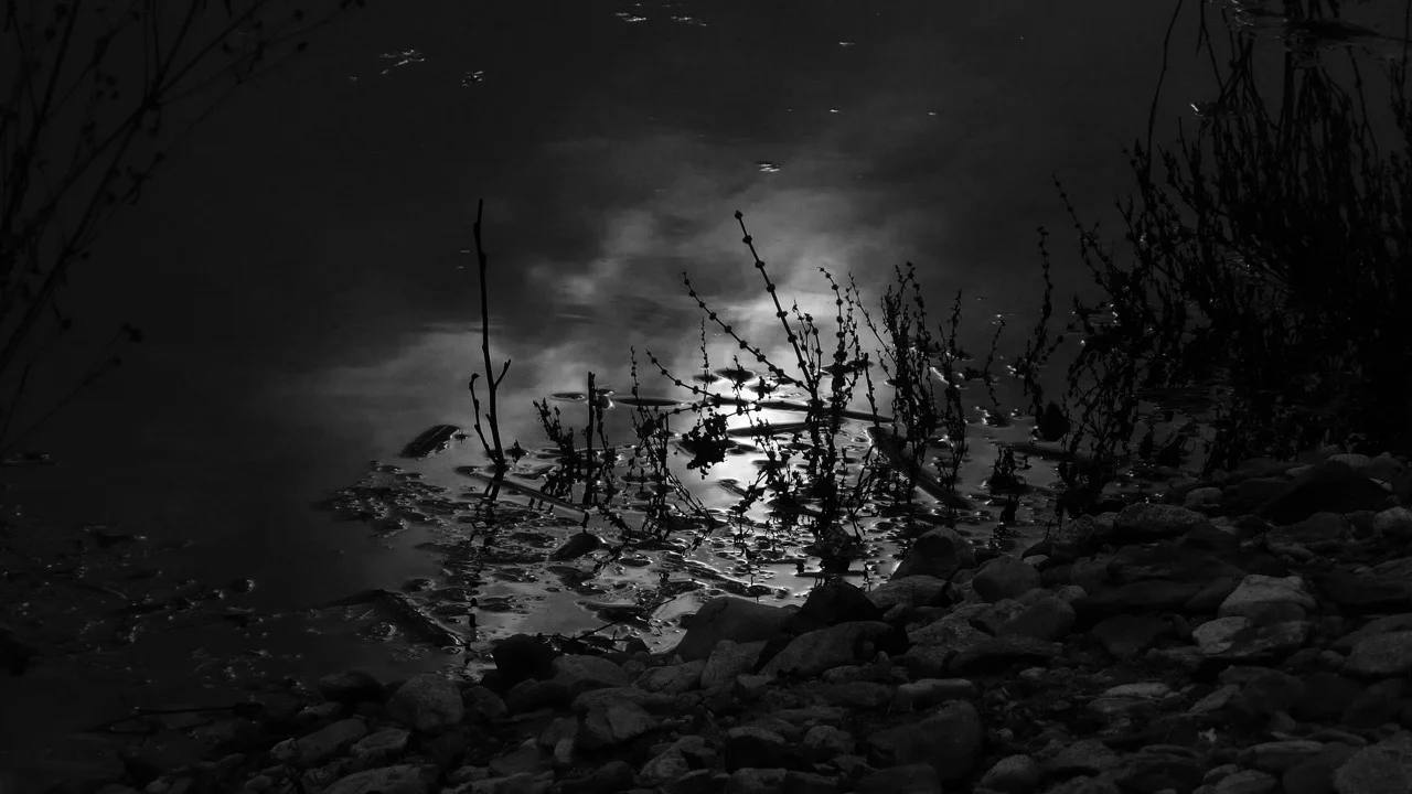 river-21103_1920.jpg