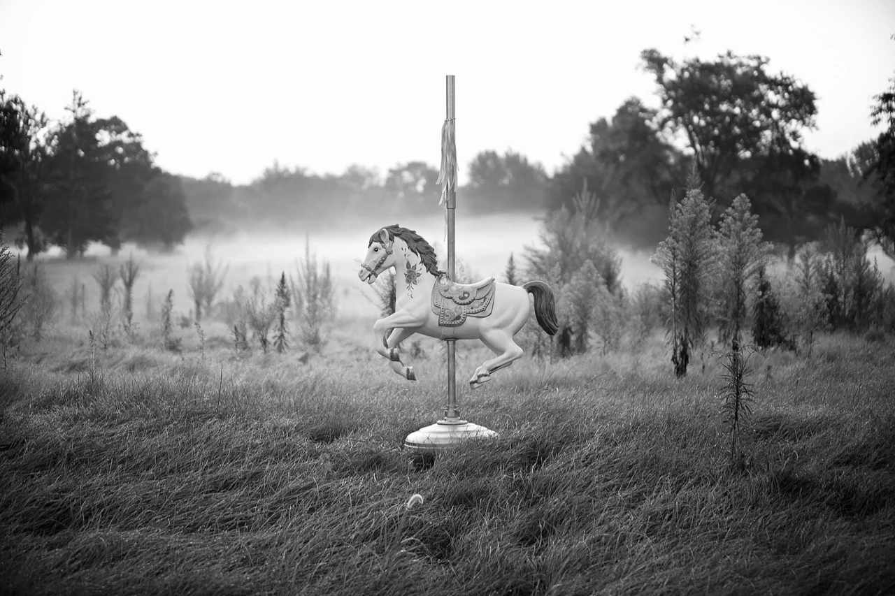 horse-1489825_1920.jpg