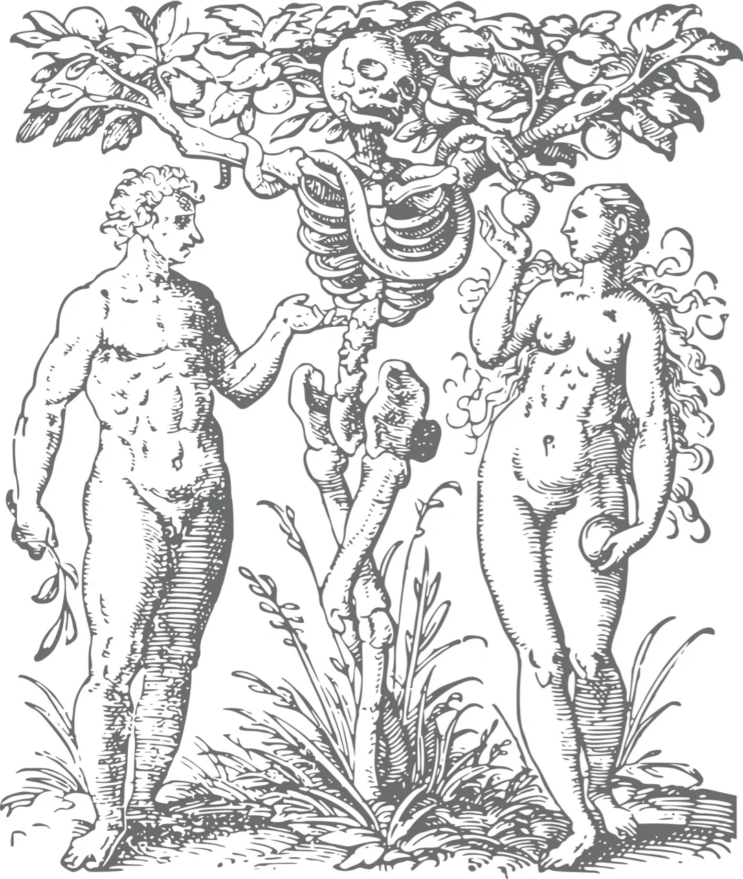 adam-and-eve-1649339_1920.jpg