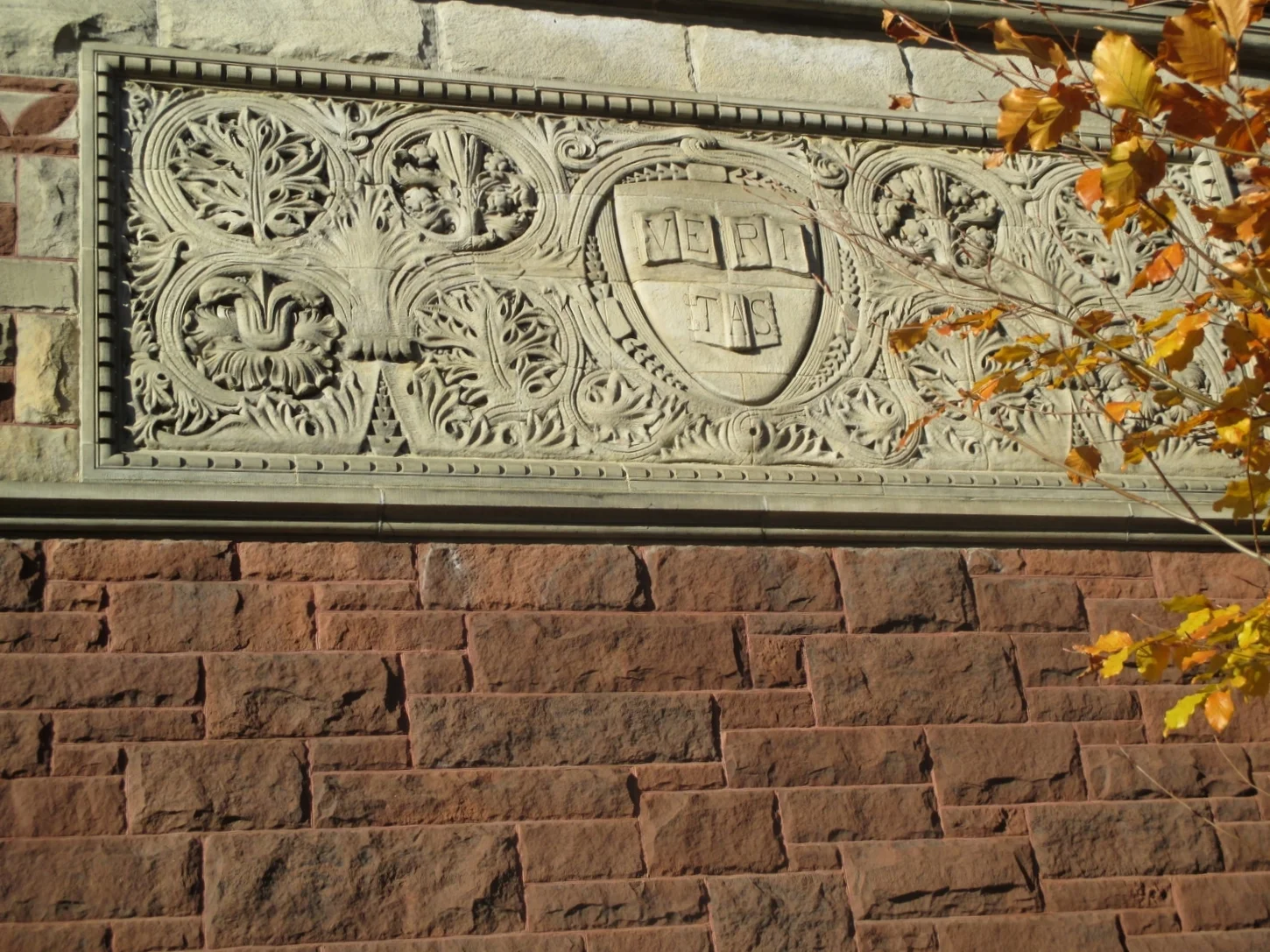 Alejandra Parra-Orlandoni 