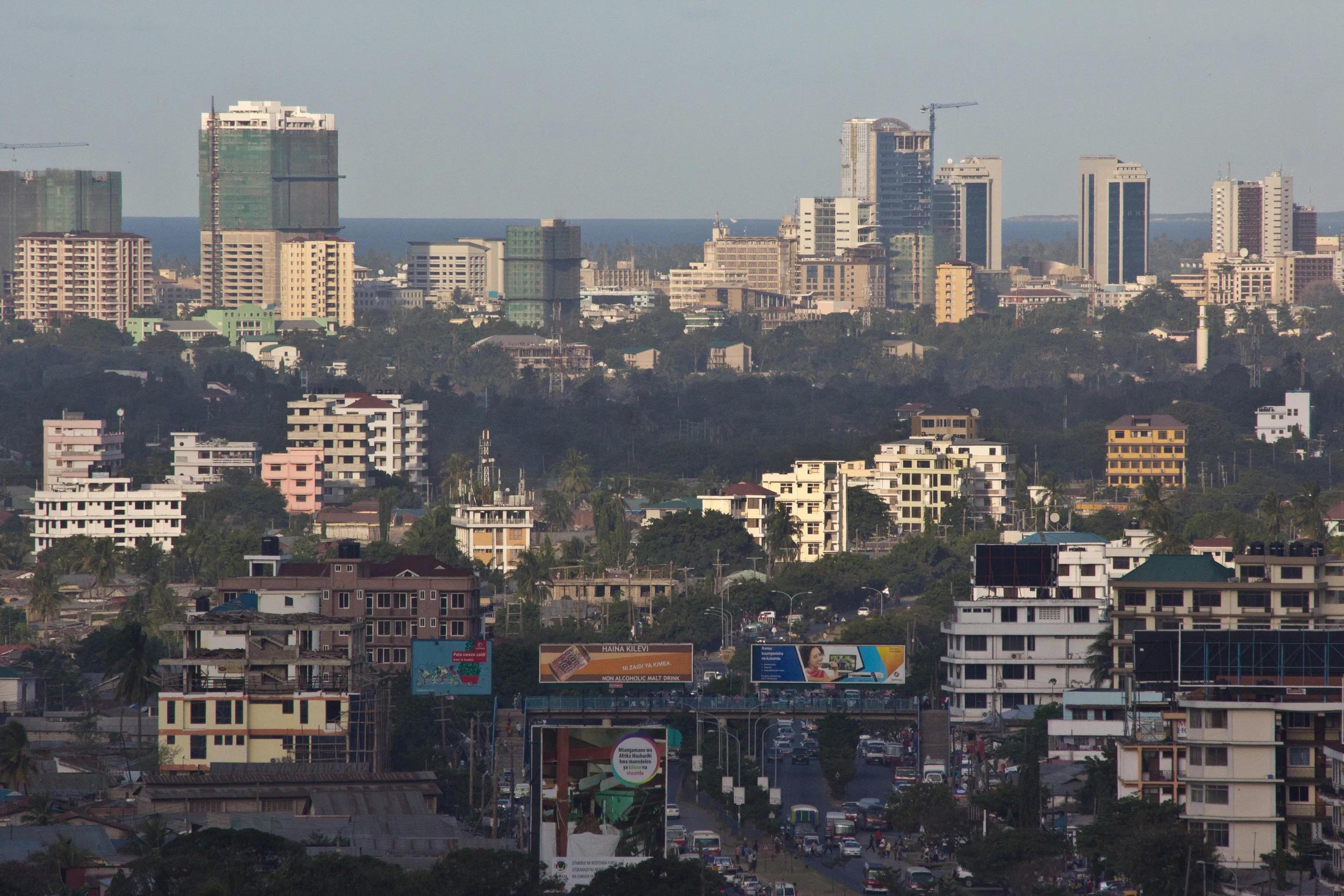 Eastern and Southern Africa Anti-Money Laundering Group (ESAAMLG)